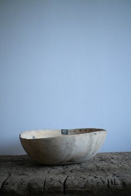 Large Swedish Burl Birch Bowl, 1800s-DAL-1799528