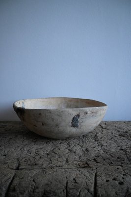 Large Swedish Burl Birch Bowl, 1800s-DAL-1799528