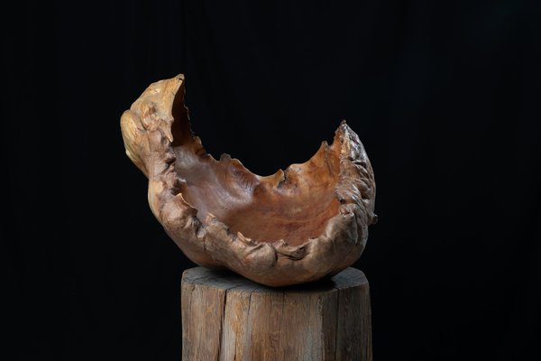 Large Swedish Wood Bowl, 1978-MJF-1446795