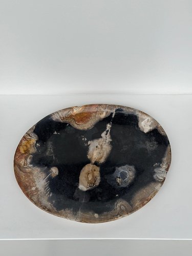 Large Vide-Poche or Dish in Petrified Wood