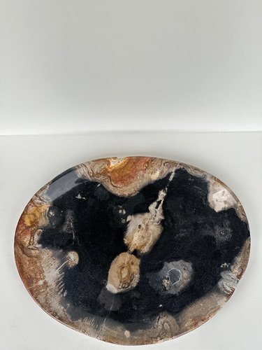 Large Vide-Poche or Dish in Petrified Wood