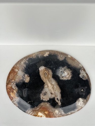 Large Vide-Poche or Dish in Petrified Wood