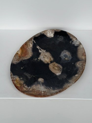 Large Vide-Poche or Dish in Petrified Wood