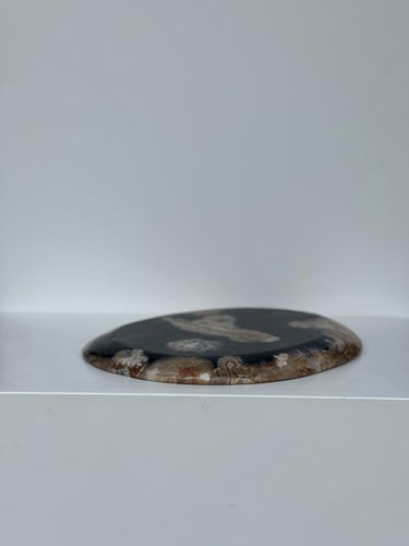 Large Vide-Poche or Dish in Petrified Wood