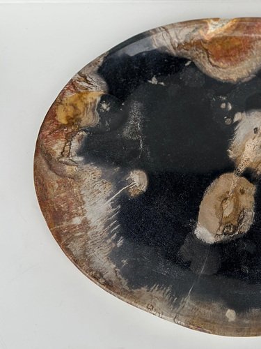 Large Vide-Poche or Dish in Petrified Wood