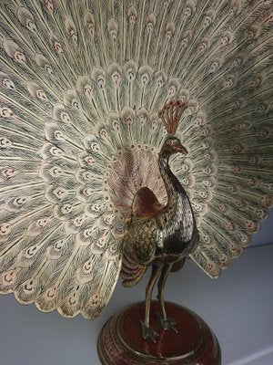 Large Vintage Brass Peacock-AJN-1730141