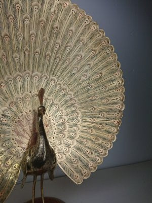 Large Vintage Brass Peacock-AJN-1730141