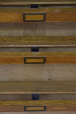 Large Vintage Industrial Oak File Cabinet with Multiple Drawers, 1930s-ZAA-1239105