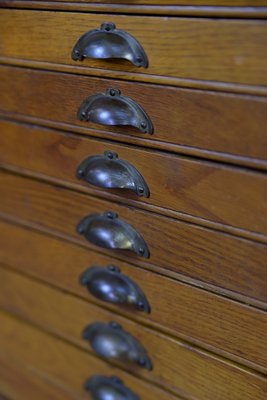 Large Vintage Industrial Oak File Cabinet with Multiple Drawers, 1930s-ZAA-1239105