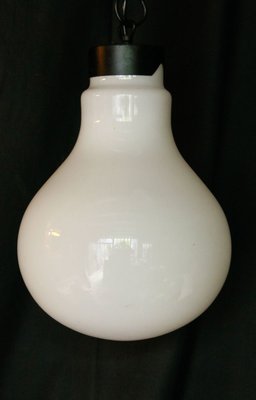 Large Vintage Lightbulb-Shaped Pendant Lamp-XTS-910774