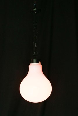 Large Vintage Lightbulb-Shaped Pendant Lamp-XTS-910774