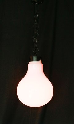 Large Vintage Lightbulb-Shaped Pendant Lamp-XTS-910774