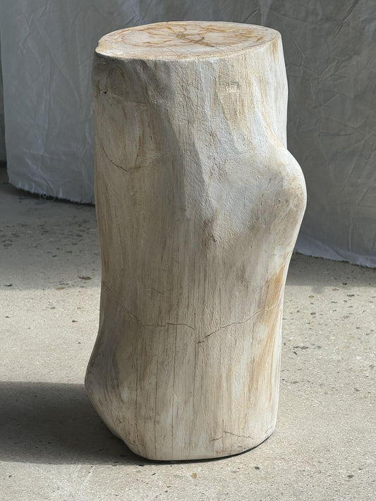 Large White Petrified Wood Accent Piece with Organic Knot