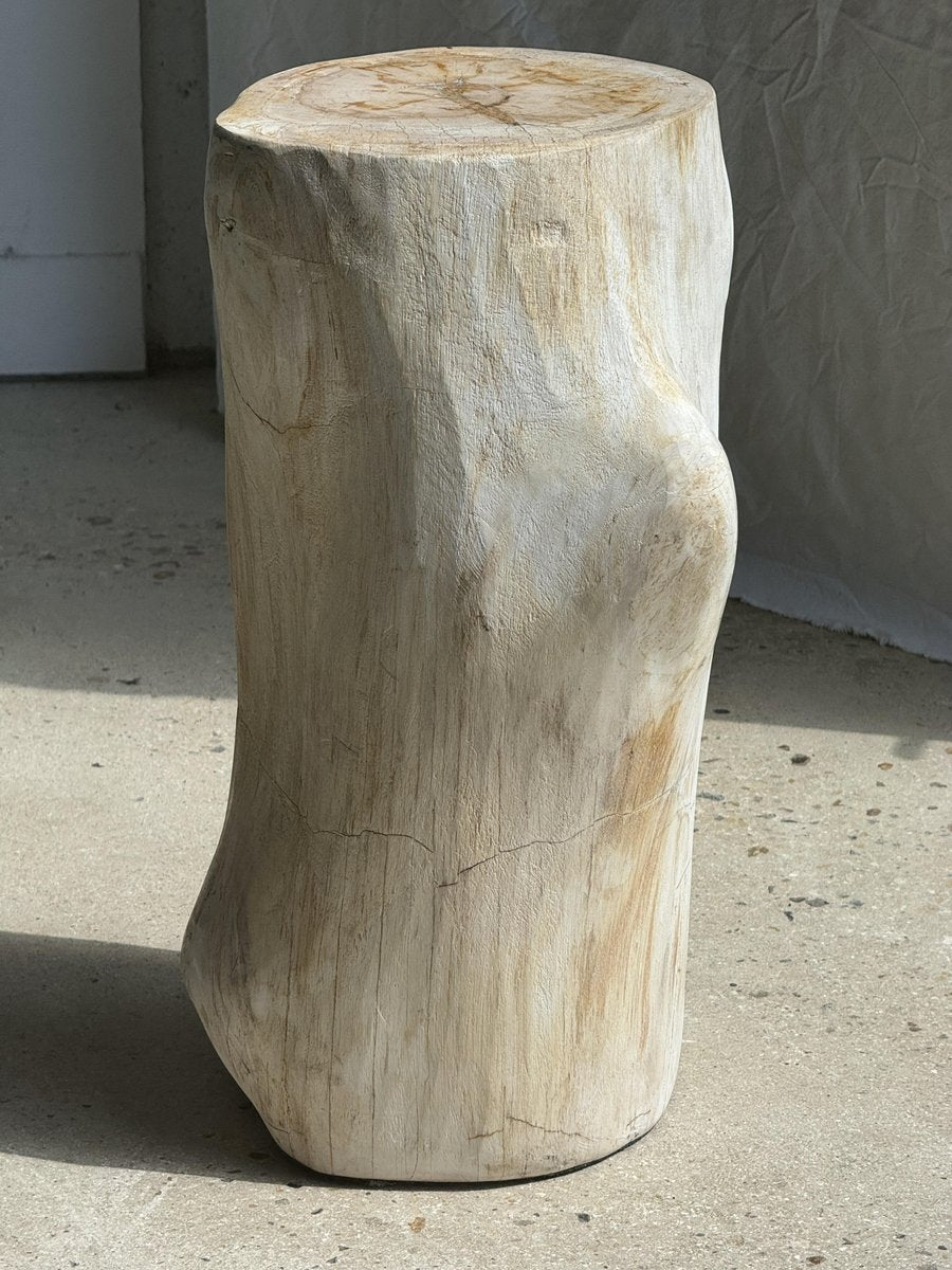 Large White Petrified Wood Accent Piece with Organic Knot