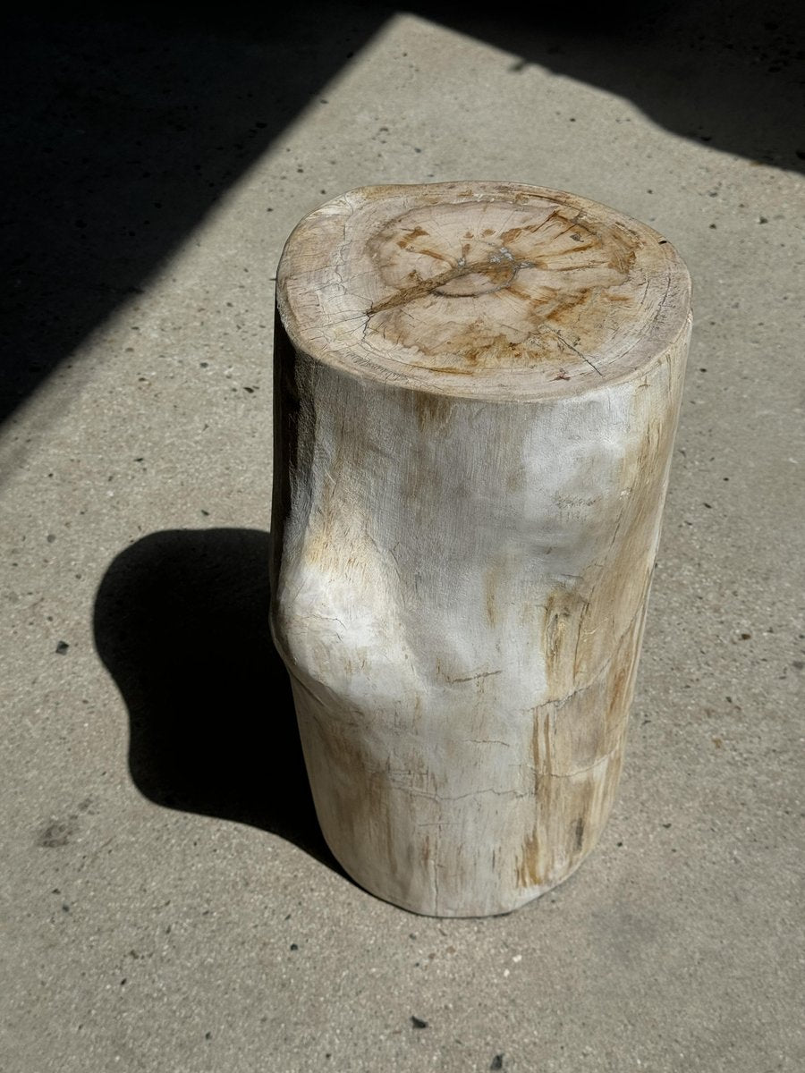 Large White Petrified Wood Accent Piece with Organic Knot