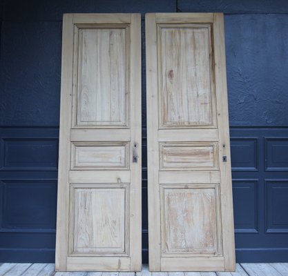 Late 19th Century French Pine Doors, 1890s, Set of 2-TAT-1751872