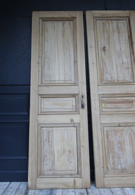 Late 19th Century French Pine Doors, 1890s, Set of 2-TAT-1751872