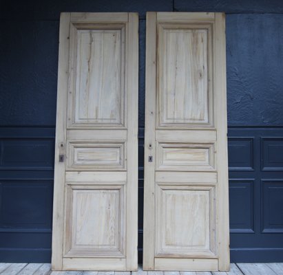 Late 19th Century French Pine Doors, 1890s, Set of 2-TAT-1751872