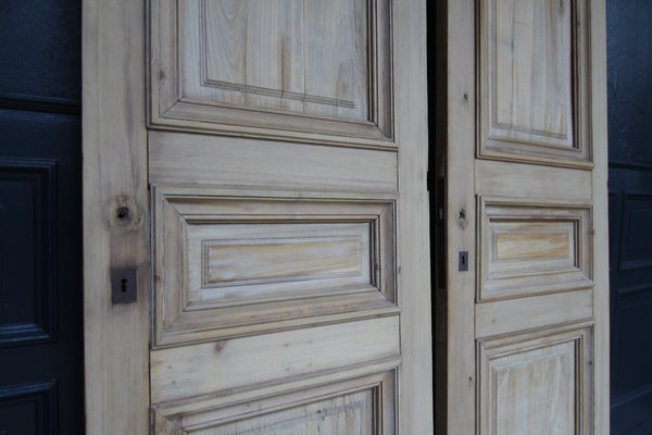 Late 19th Century French Pine Doors, 1890s, Set of 2-TAT-1751872