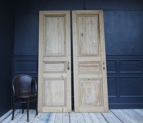 Late 19th Century French Pine Doors, 1890s, Set of 2-TAT-1751872