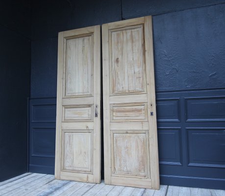 Late 19th Century French Pine Doors, 1890s, Set of 2-TAT-1751872