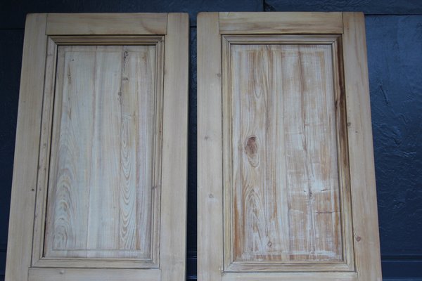 Late 19th Century French Pine Doors, 1890s, Set of 2-TAT-1751872