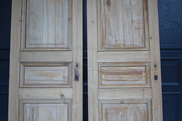 Late 19th Century French Pine Doors, 1890s, Set of 2-TAT-1751872