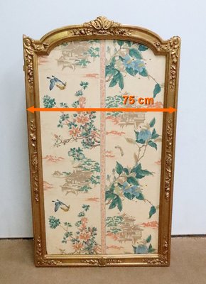 Late 19th Century Louis XV Silk and Golden Wood Screen-RVK-1723831