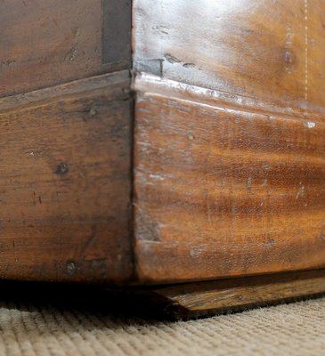 Late 19th Century Mahogany Travel Trunk-RVK-1386803