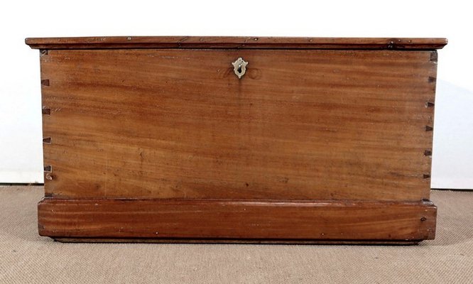 Late 19th Century Mahogany Travel Trunk-RVK-1386803