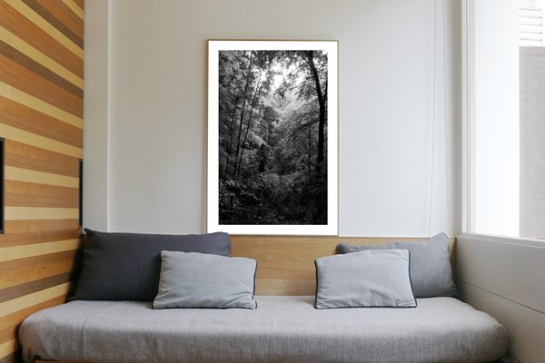 Late Afternoon Forest Light, Large Black and White Landscape Giclée Print, 2021-RWC-961725