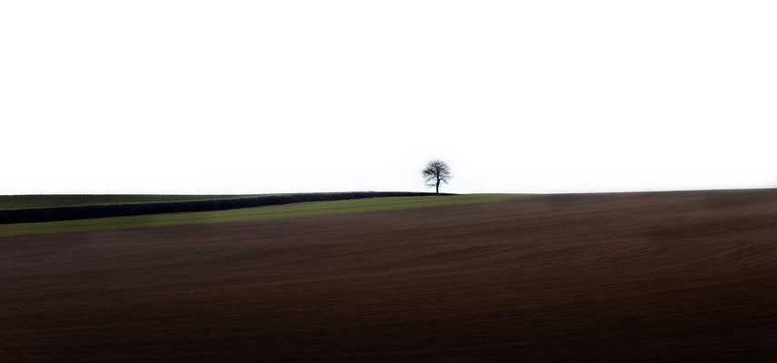 Laurent Campus, Loneliness, 2011, Archival Pigment Print-OBQ-1706877