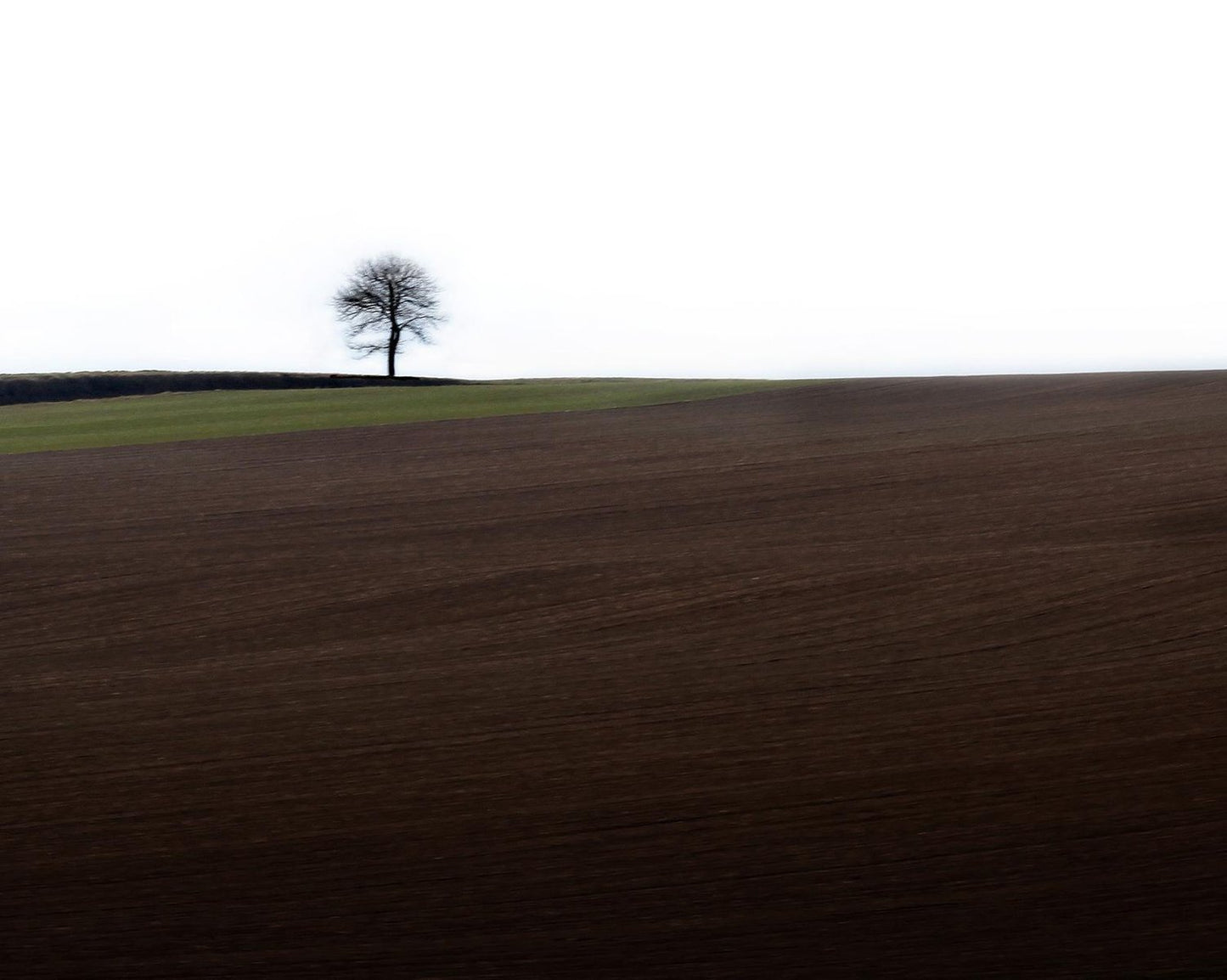 Laurent Campus, Loneliness, 2011, Archival Pigment Print