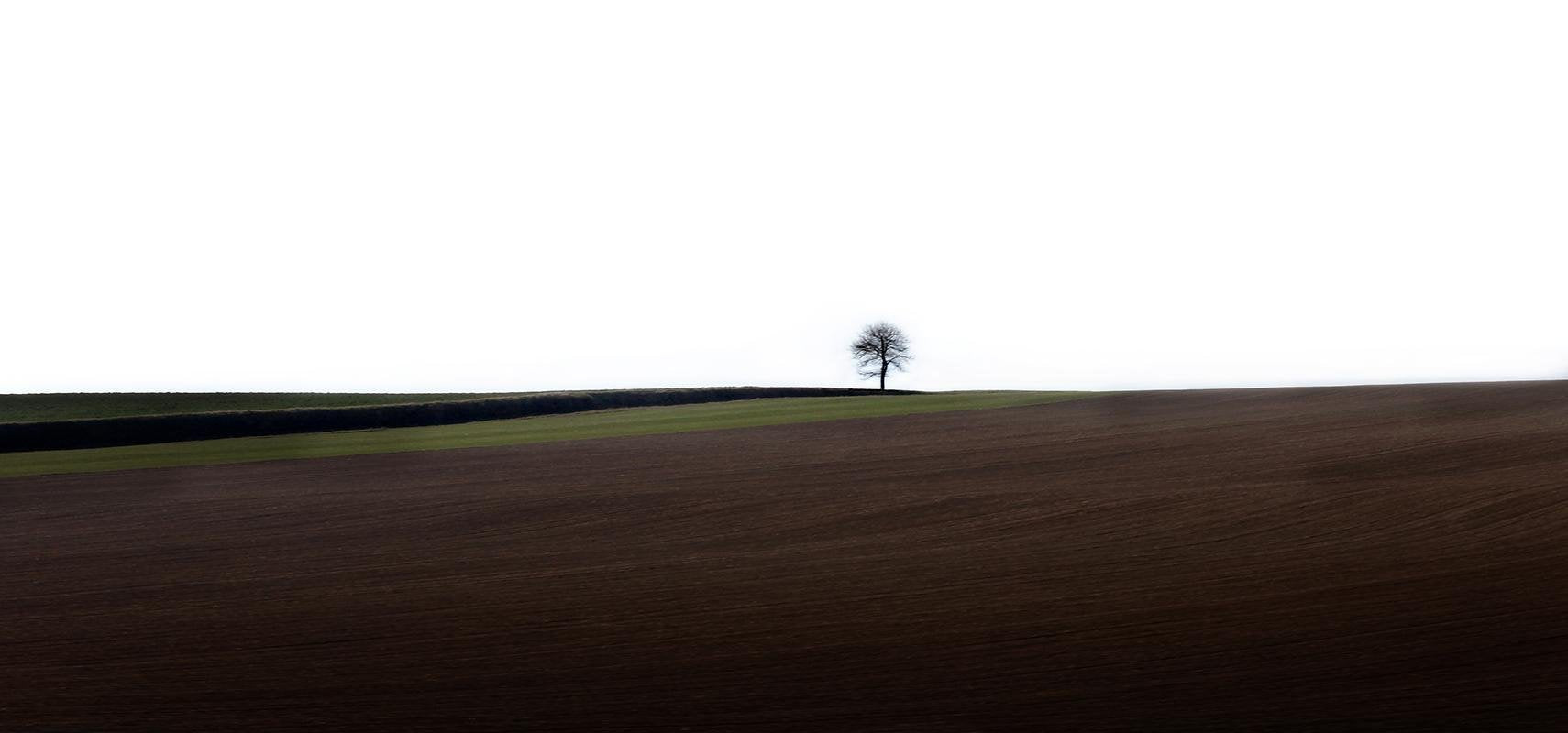 Laurent Campus, Loneliness, 2011, Archival Pigment Print