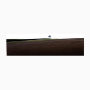 Laurent Campus, Loneliness, 2011, Archival Pigment Print-OBQ-1706877