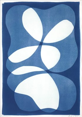 Layered Kidneys Beans, 2022, Cyanotype-RWC-1278323