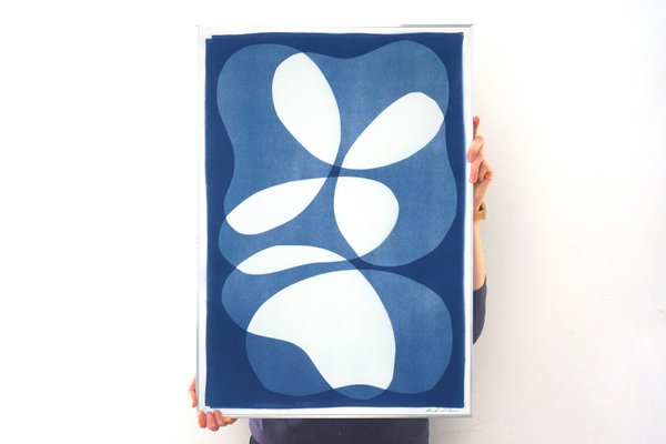 Layered Kidneys Beans, 2022, Cyanotype-RWC-1278323