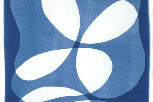 Layered Kidneys Beans, 2022, Cyanotype-RWC-1278323