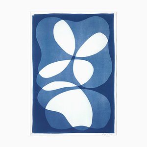 Layered Kidneys Beans, 2022, Cyanotype-RWC-1278323