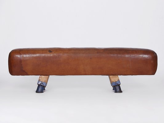 Leather Pommel Horse or Bench, 1930s-TW-1363281