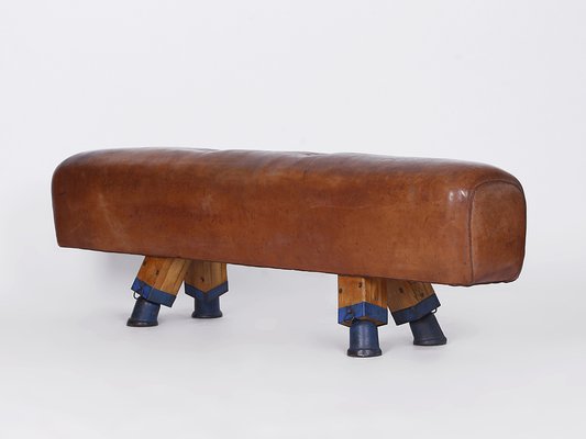 Leather Pommel Horse or Bench, 1930s-TW-1363281