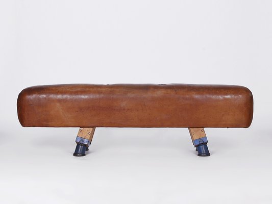 Leather Pommel Horse or Bench, 1930s-TW-1363281