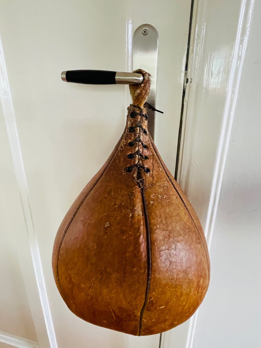 Leather Punching Bag