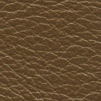 Leatherback (AL5047)