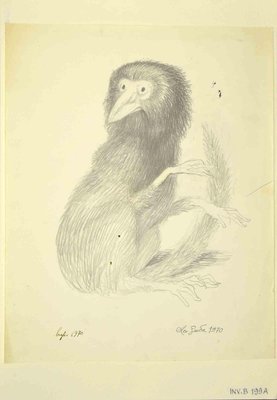 Leo Guida, Lemur, Original Pencil Drawing, 1970s-ZCI-1379317