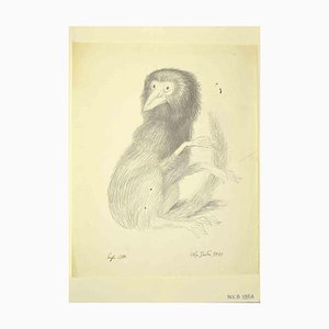 Leo Guida, Lemur, Original Pencil Drawing, 1970s-ZCI-1379317