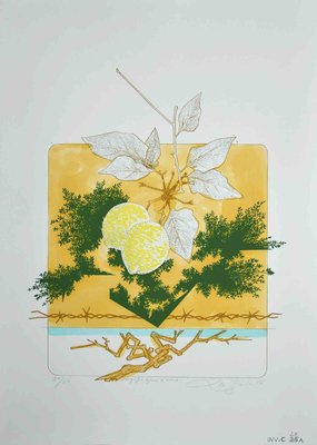 Leo Guida, Still Life, Screen Print, 1976-ZCI-1011275