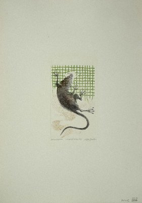 Leo Guida, The Rat, Etching on Paper, 1973-ZCI-874869