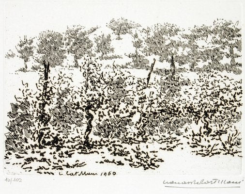 Leonardo Castellani - The Vineyard - Etching - 1960-ZCI-911028