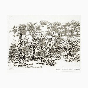 Leonardo Castellani - The Vineyard - Etching - 1960-ZCI-911028